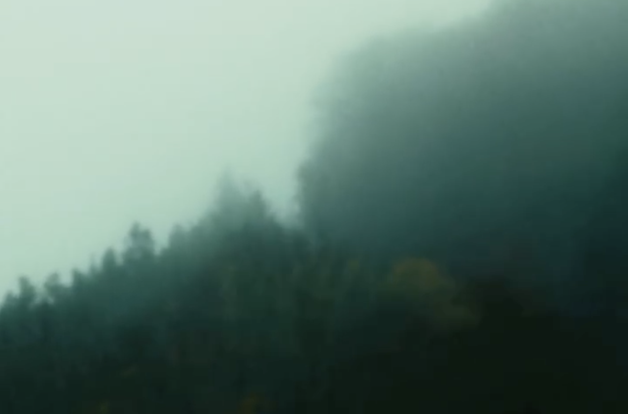 Neuer Morgen – Bild 11